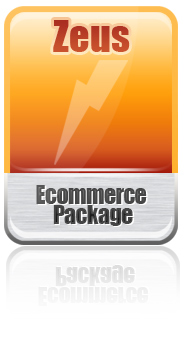 Zeus web design plan